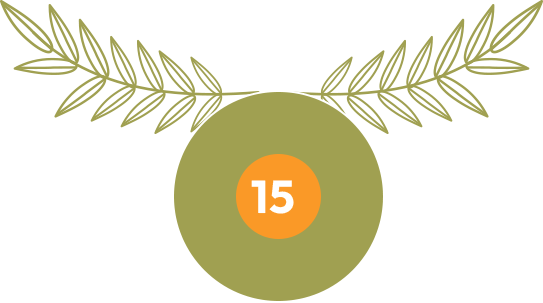 olive.octivlab.com