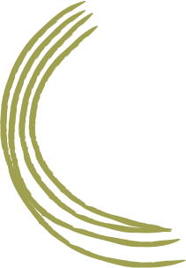 olive.octivlab.com