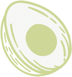 olive.octivlab.com